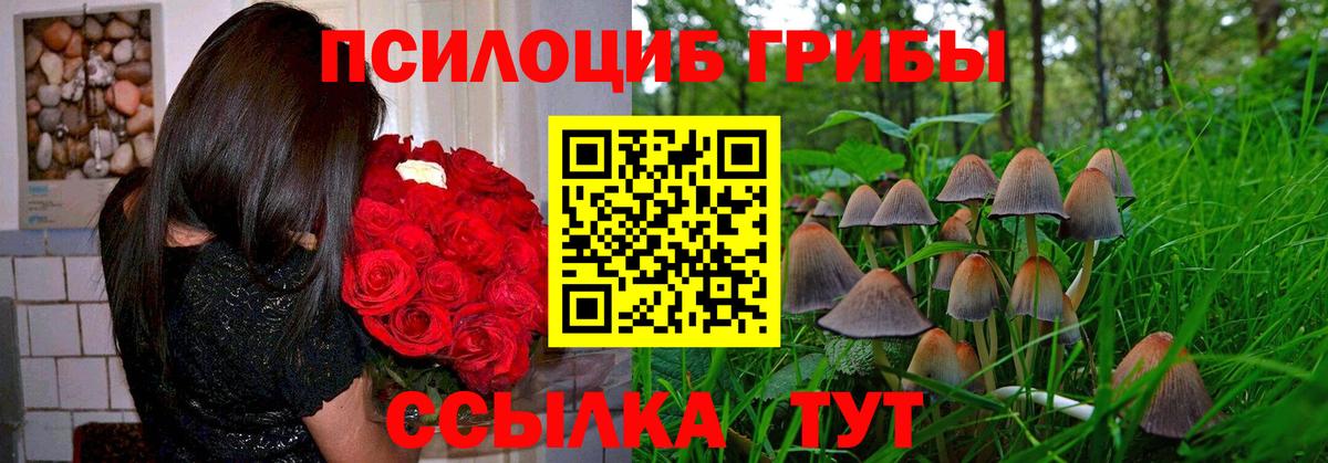 Галлюциногенные грибы мухоморы  Галлюциногенные грибы Psilocybe  Новомосковск  Вход с VPN 
